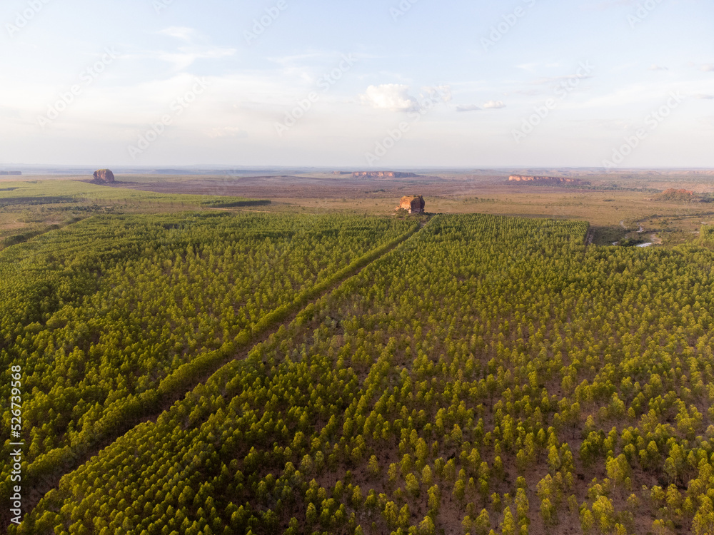 large stone with hole in the field of the Brazilian savannah one of the tourist spots in the jalapão national park