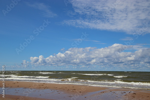 beach and sea