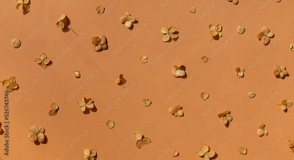 Dried autumn small hydrangea flowers on the brown background seamless pattern. Top view. Dried autumn small hydrangea flowers on the brown background seamless pattern. Top view.