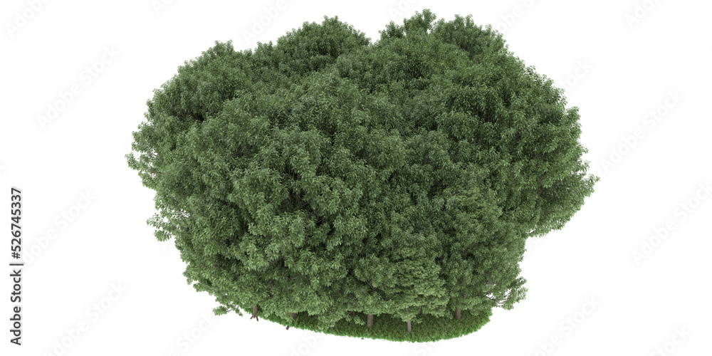 Obraz premium Forest on transparent background. 3d rendering - illustration