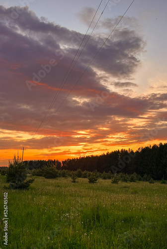 Nature  sunset on the background of fields and forests in the distance