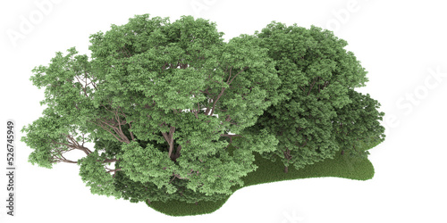 Forest on transparent background. 3d rendering - illustration