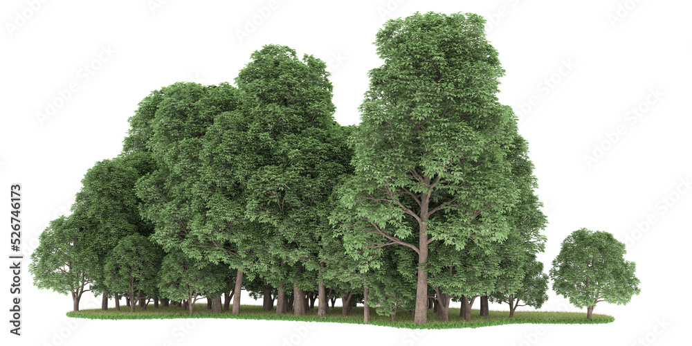 Forest on transparent background. 3d rendering - illustration Forest on transparent background. 3d rendering - illustration