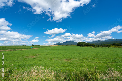 北海道、富良野市の農地と富良野岳の風景