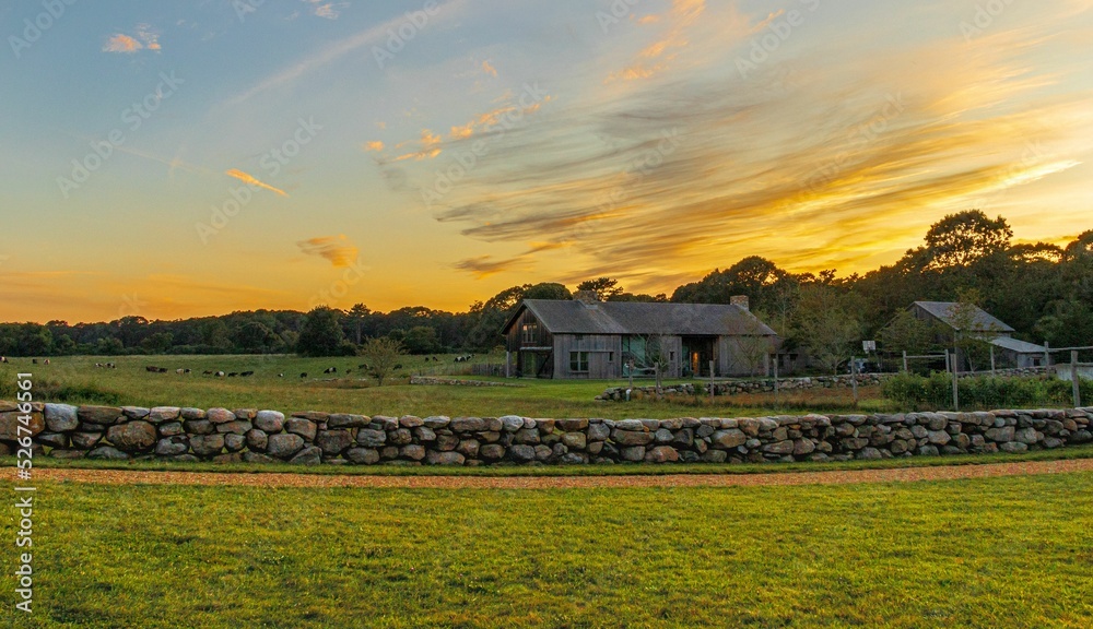 Farmhouse in the field at sunset in Martha's vineyard, Massachusetts, USA - obrazy, fototapety, plakaty 