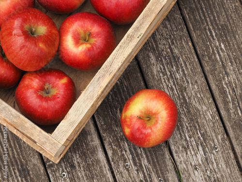 Fresh red organic apples in a wooden box after harvesting, seasonal food, agriculture concept photo