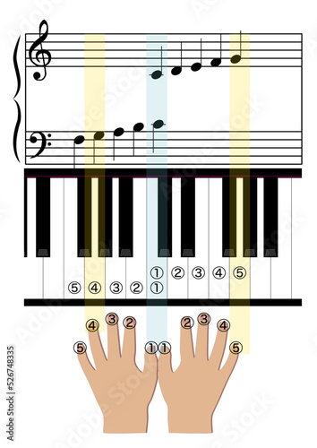 hand playing piano vector illustration