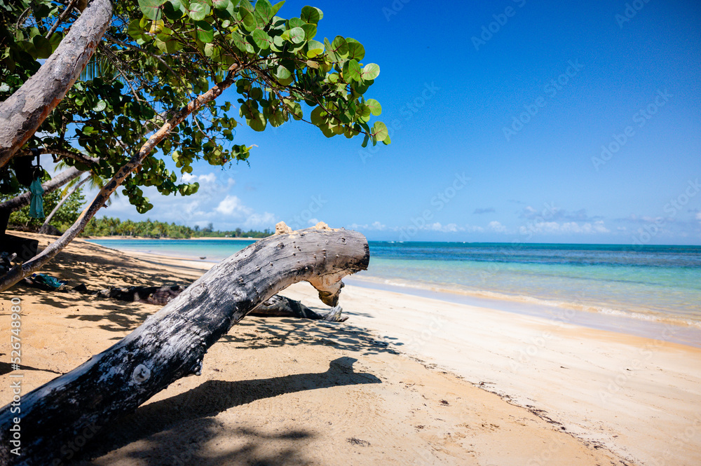 Playa Portillo, Samaná, República Dominicana. Playa Portillo, Samaná, República Dominicana.