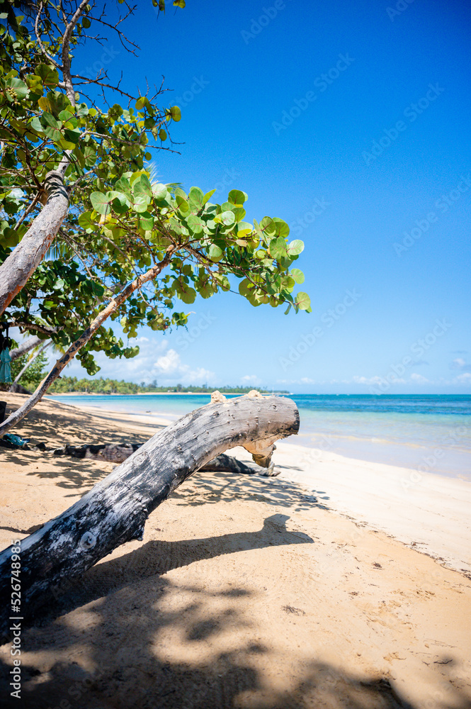 Playa Portillo, Samaná, República Dominicana. Playa Portillo, Samaná, República Dominicana.