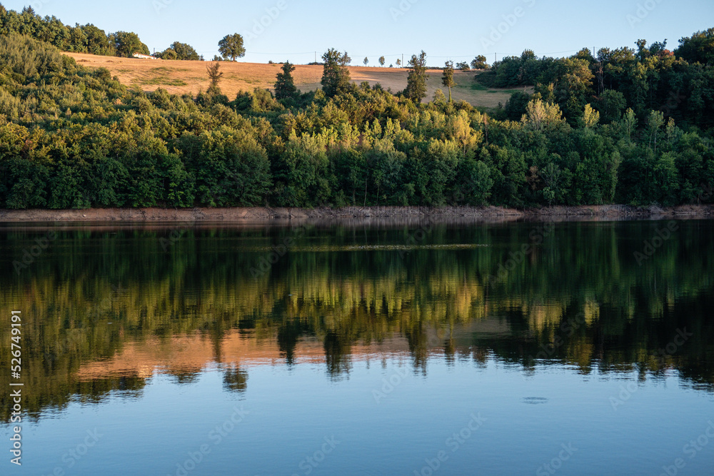 Reflets des arbres d'une forêt sur l'eau d'un lac.
