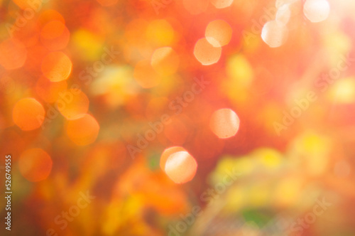 Autumn blurred background  bokeh