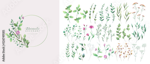 Set of luxury green leaves and flowers elements in watercolor style. Aquarelle trendy greenery branches and blooming. Vector isolated on white background for Invitation, greeting