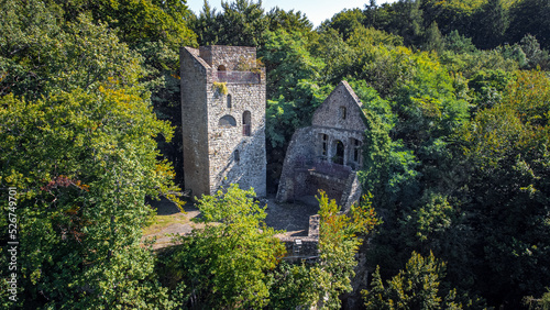 Schilderij op canvas Burg Ruine Prümerburg mitten im Wald romantisch gelegen