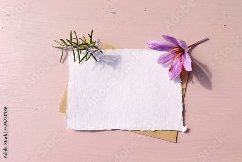 Autumn stationery mock-up scene. Blank cotton paper greeting cards, invitations with crocus sativus. The elegant blue background in sunlight, shadows overlay. Flat lay, top view.