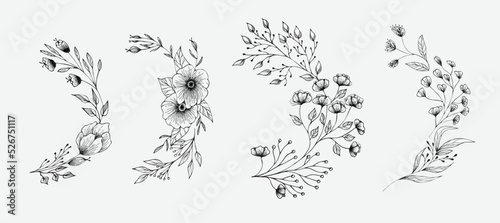 Set of floral compositions. Botanical arrangement of leaves bran