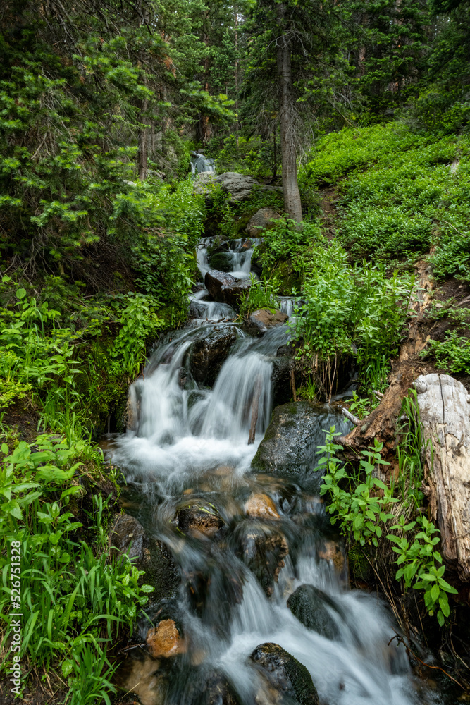 Small Stream Rushes Through Forest