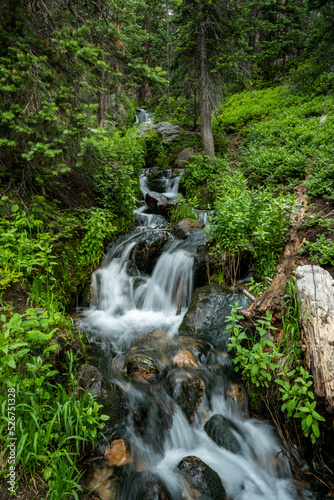 Small Stream Rushes Through Forest