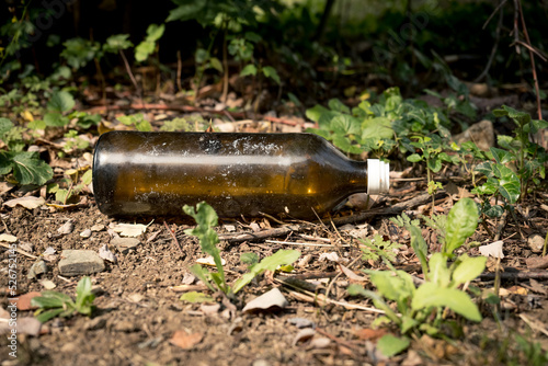 brown bottle as waste in nature
