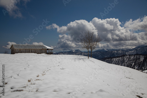 landscape with snow