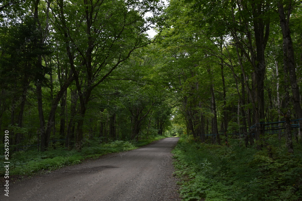 A country road in summer, Sainte-Apolline, Québec, Canada A country road in summer, Sainte-Apolline, Québec, Canada