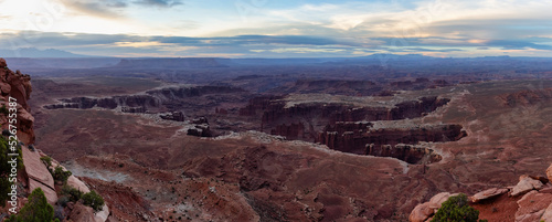 Scenic Panoramic View of American Landscape and Red Rock Mountains in Desert Canyon. Cloudy Sunrise Sky. Canyonlands National Park. Utah, United States. Nature Background Panorama
