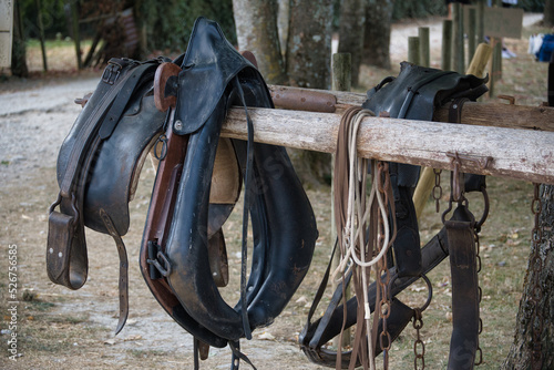 Selles et harnais pour cheval de trait