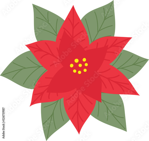 Red poinsettia as a symbol of Christmas and New Year