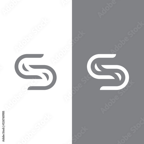 Business corporate S letter logo