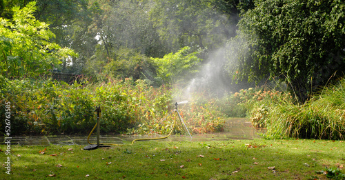 watering with sprinkler irrigation system, watering lawn, flowers and trees. Heat, drought and global warming concept