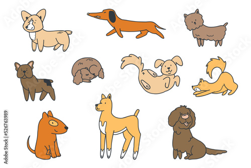 Cute dogs doodle vector set. Collection of dog and puppy characters in different poses in doodle style isolated on white background.