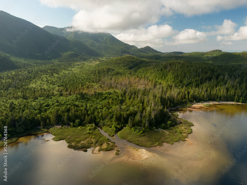 Sandy beach on the lake with green trees. Canadian Nature Background. Aerial View from Above. Kennedy Lake in Vancouver Island near Tofino and Ucluelet, British Columbia, Canada.