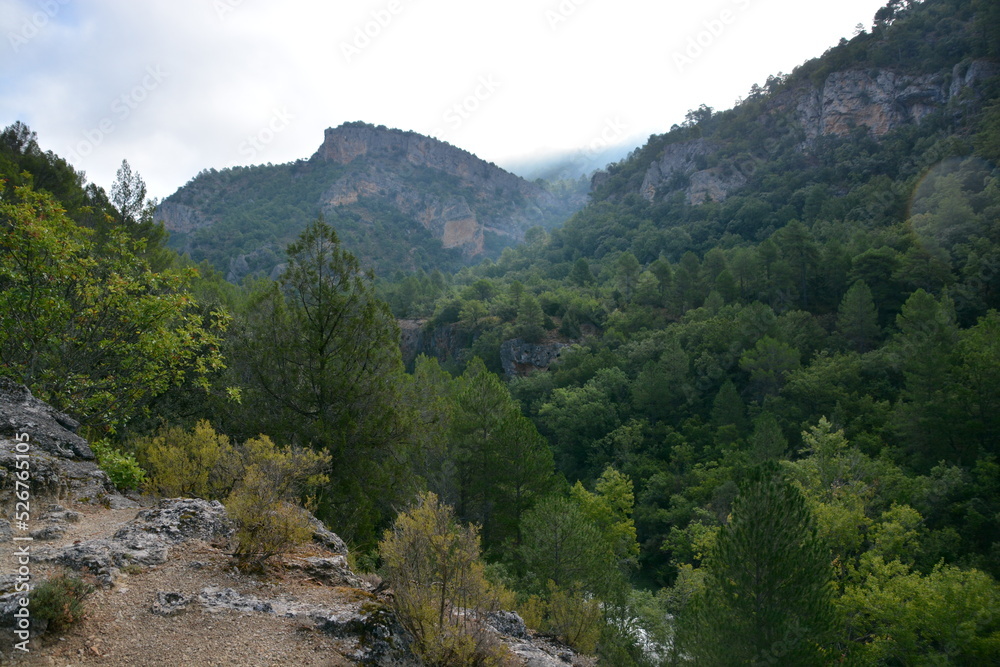 Ocentejo , Alto Tajo , Guadalajara