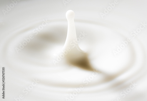 Macro milk drop,milk drops with ripples,Drop on milk cream dairy product yoghurt milkshake texture swirl graphic design element for packaging flyer ad poster cream splash with ripple circle 