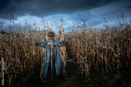 Φωτογραφία Scary scarecrow in a hat and coat on a evening autumn cornfield