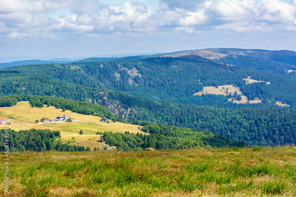 Montagnes des Vosges vues depuis les hauteurs du Hohneck 