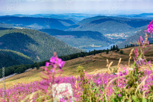 Vue panoramique sur les Vosges depuis le sommet du Hohneck © Pascal STINFLIN