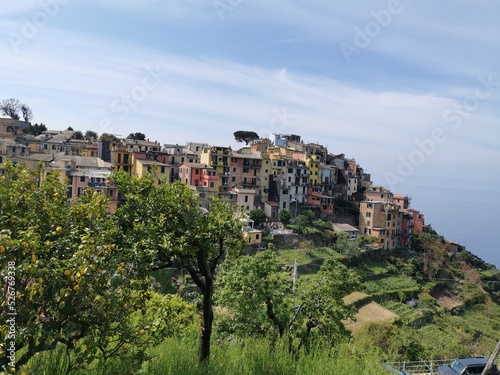 Vernazza, Trekking the hiking trail above the Cinque Terre, Italian Riviera., Cinque Terre National Park, Liguria, Italy