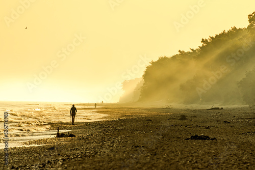 Fototapeta Naklejka Na Ścianę i Meble -  The landscape on the Baltic Sea.