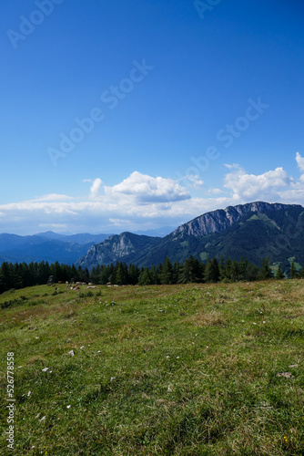 Austria, Fladnitz an der Teichalm. Beautiful mountains and fields, summer in Austria. Tourism and hiking in Styria.