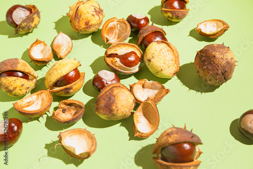 Creative composition made of chestnuts close up on sunlit green background. Nature consept. Falll and autumn theme photo