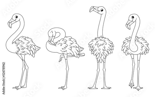 Tropical birds. Set of greater flamingos, outline vector cartoon illustration