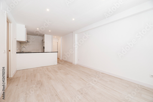 empty room has light wood floor  plain white painted wall  island with black stone countertop and open kitchen