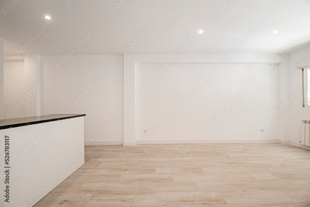 Empty living room with light hardwood floor, plain white painted walls and island with black marble top Empty living room with light hardwood floor, plain white painted walls and island with black marble top