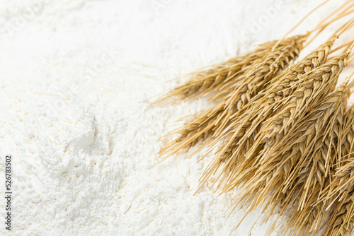 Close-up of a heap of flour and ears of wheat after sifting. Concept Record prices and high prices for bakery products. Rising wheat prices in Europe country