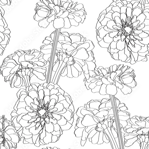 Seamless flower pattern background with line zinnia flower and leaf drawing illustration.