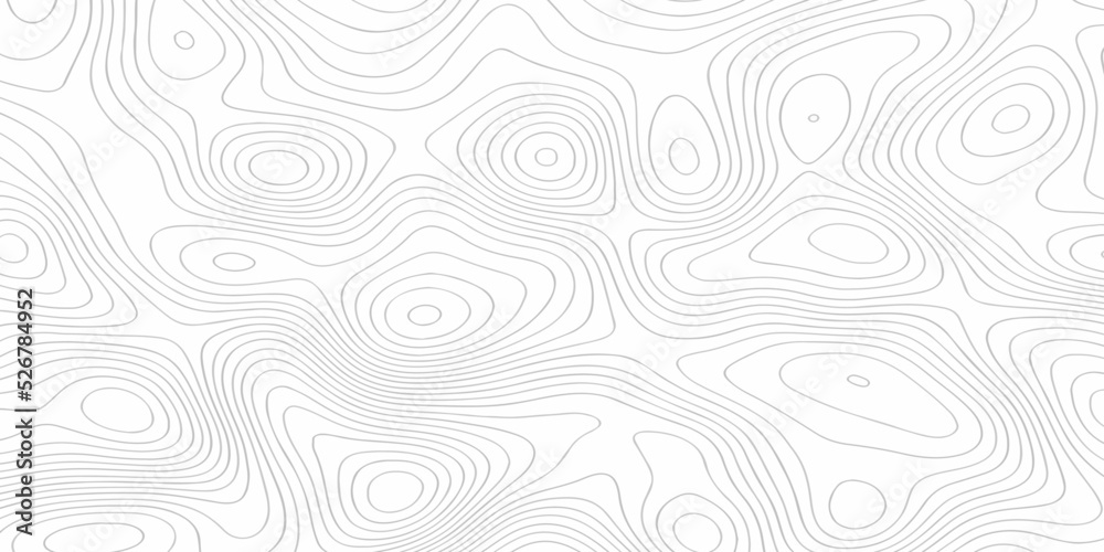 Topographic contour map. Vector cartography illustration. Topography and geography map grid abstract backdrop. Business concept. Fish Fillet Texture, Salmon fillet texture, fish pattern. paper texture Topographic contour map. Vector cartography illustration. Topography and geography map grid abstract backdrop. Business concept. Fish Fillet Texture, Salmon fillet texture, fish pattern. paper texture