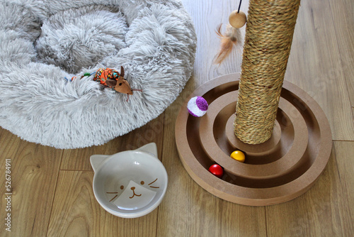 Accessoires et jeux pour chat, souris, arbre à chat, lit donut, gamelle, bol, balles, pour animal de compagnie.