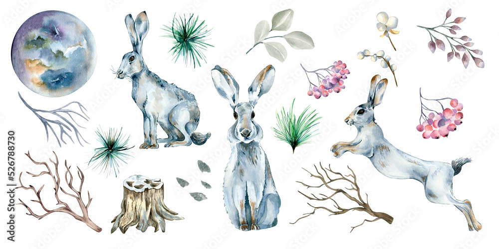 Fototapeta premium Set of hares, forest plants and moon watercolor illustration isolated on white background.