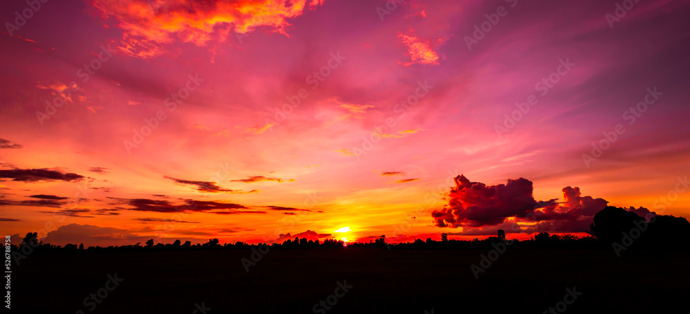 Amazing sunset and sunrise.Panorama silhouette tree with sunset.Kenya Safari theme.