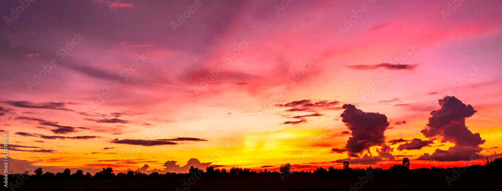Amazing sunset and sunrise.Panorama silhouette tree with sunset.Kenya Safari theme. Amazing sunset and sunrise.Panorama silhouette tree with sunset.Kenya Safari theme.